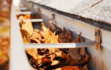 Swanmore gutter cleaning companies